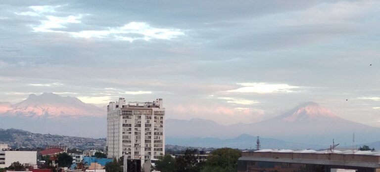 Consultorio Coyoacán vista